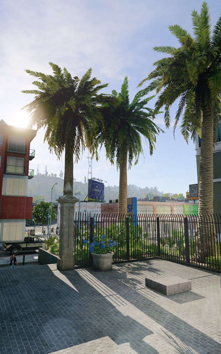 Adamir Sefwick tweet media