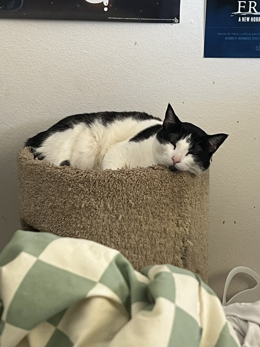 Snoopy 🍉 | Jasper 🕊️🤍 tweet media