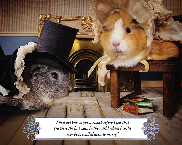 Hello Pity tweet media