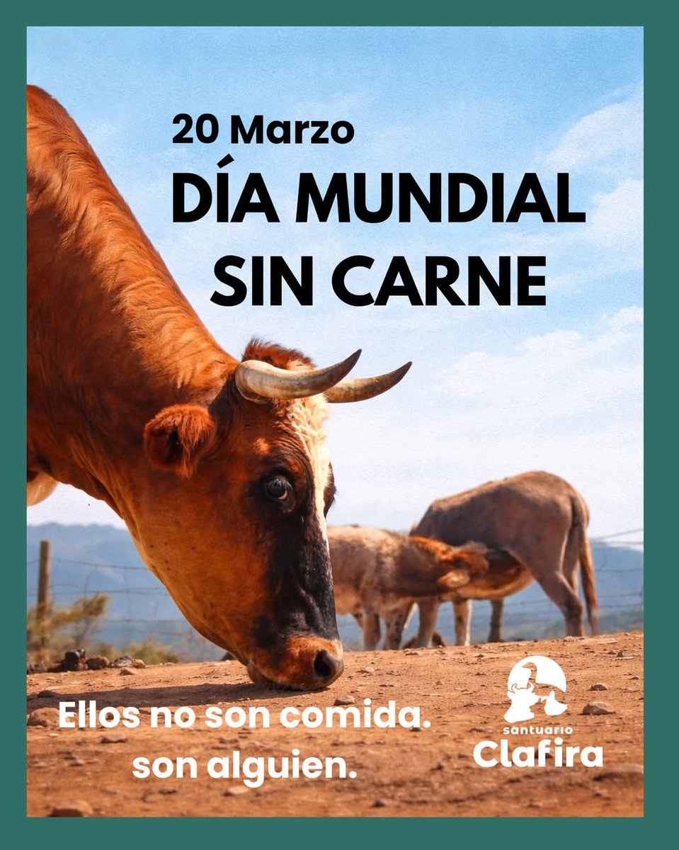 Gilles Denans tweet media