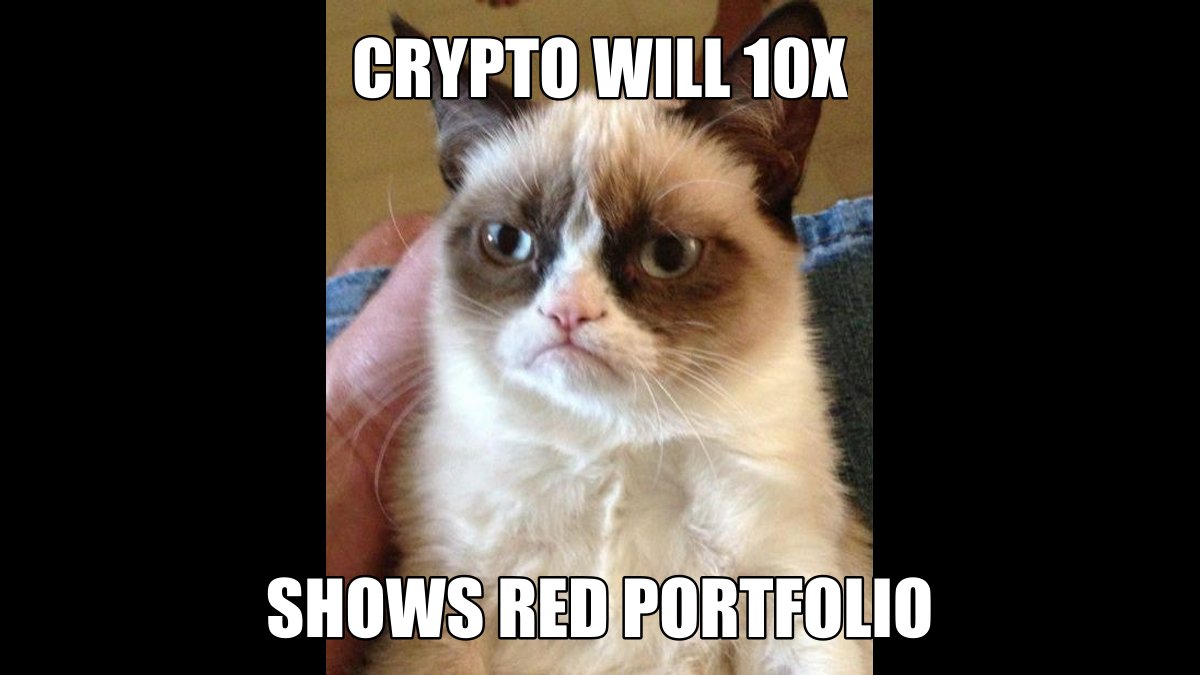 Mattoshi tweet media