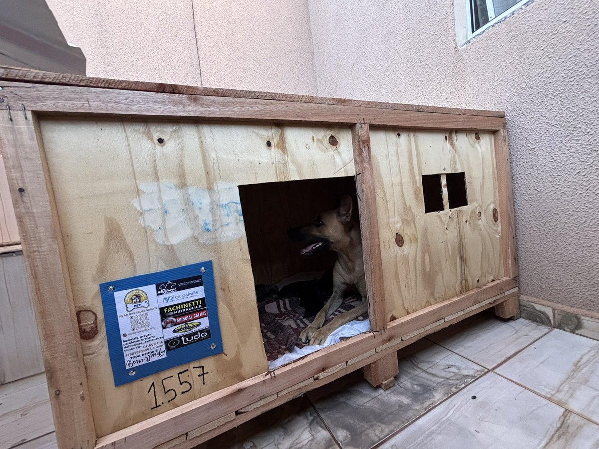 Gabriele Lima #NãoCompreAdote tweet media