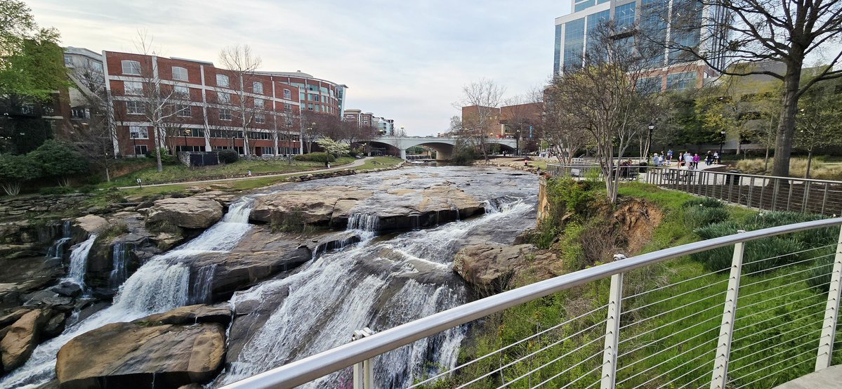 The Todd V🟡C⚫U🟡 tweet media