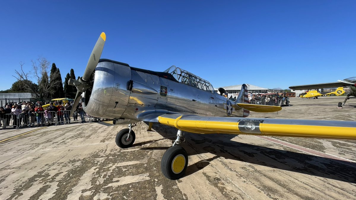 Alejandro De Prado tweet media