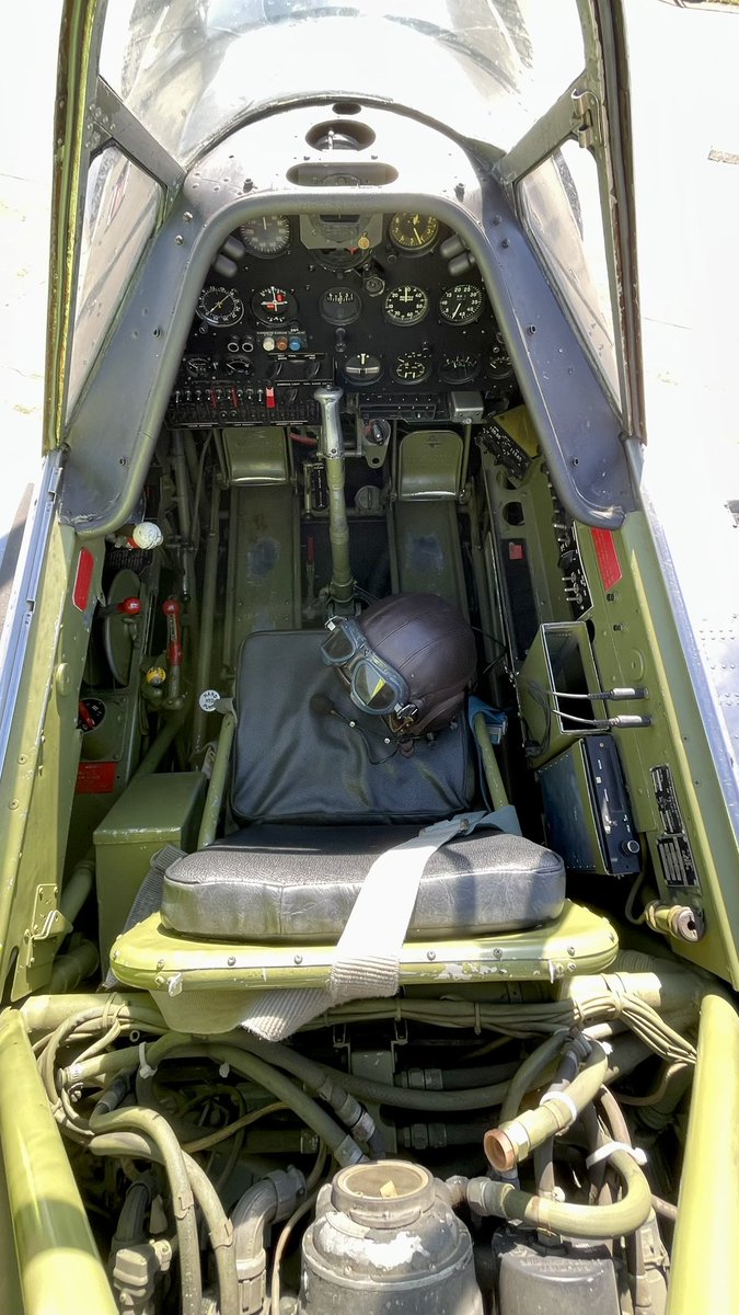 Alejandro De Prado tweet media