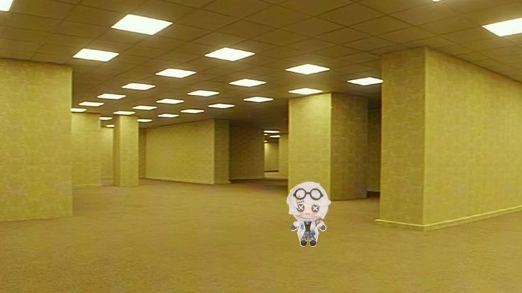 禁止转载 tweet media