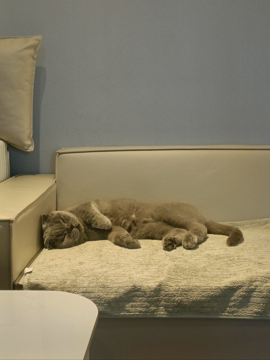 ver rassing tweet media