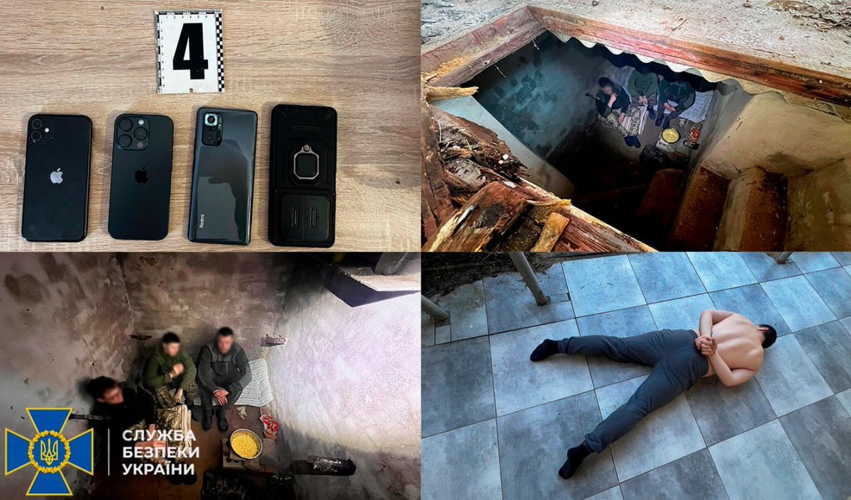 Alina Lipp tweet media