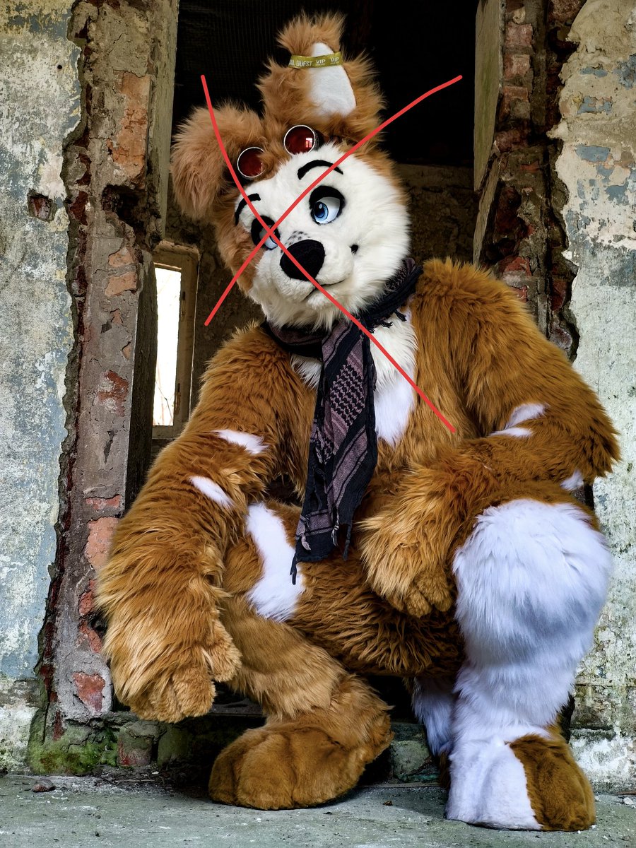 RoshyRumble tweet media