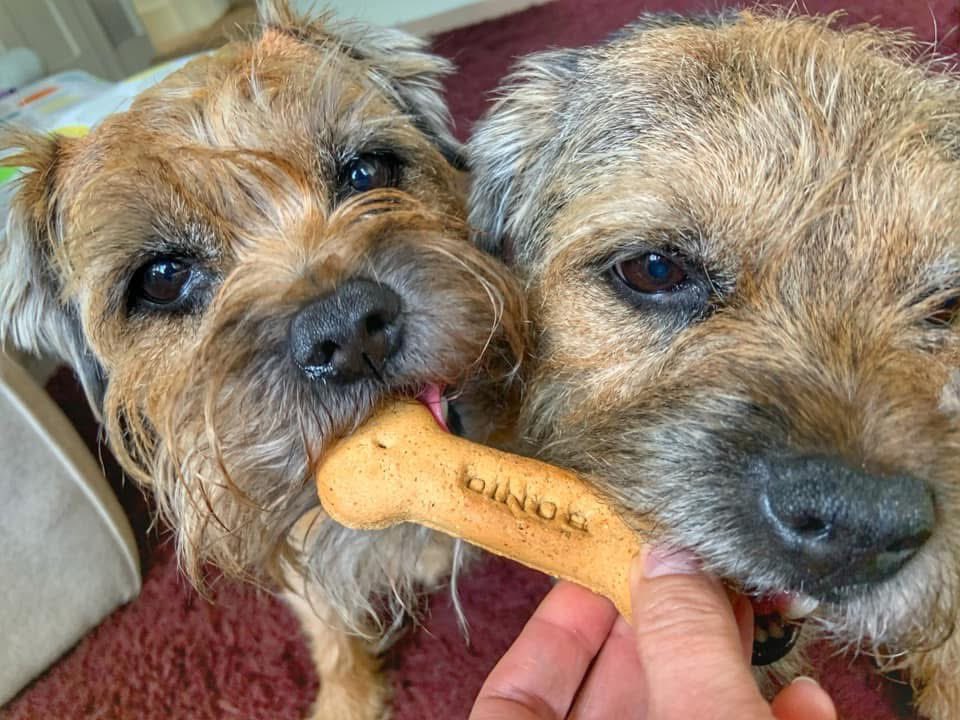 Lord Scrappy Nelson tweet media