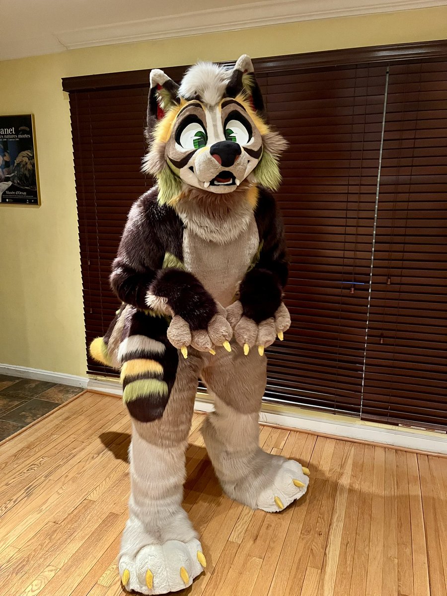 Sid ✈️ LVFC tweet media