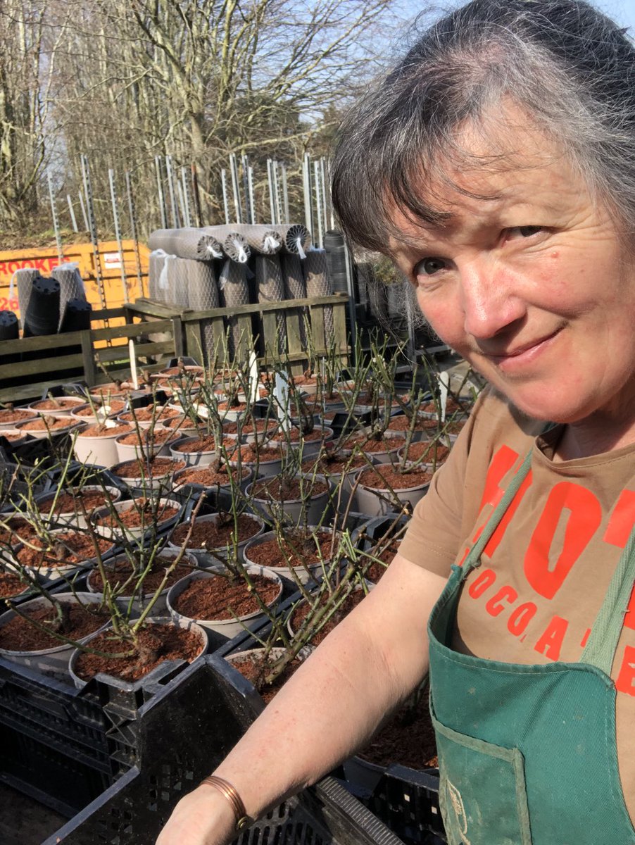 C and K Jones Roses aka JonesTheRose tweet media