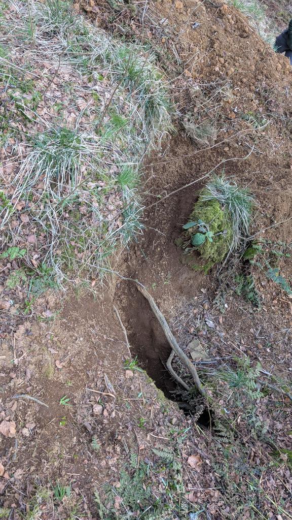 (польська) Баба Срака 🏴 tweet media