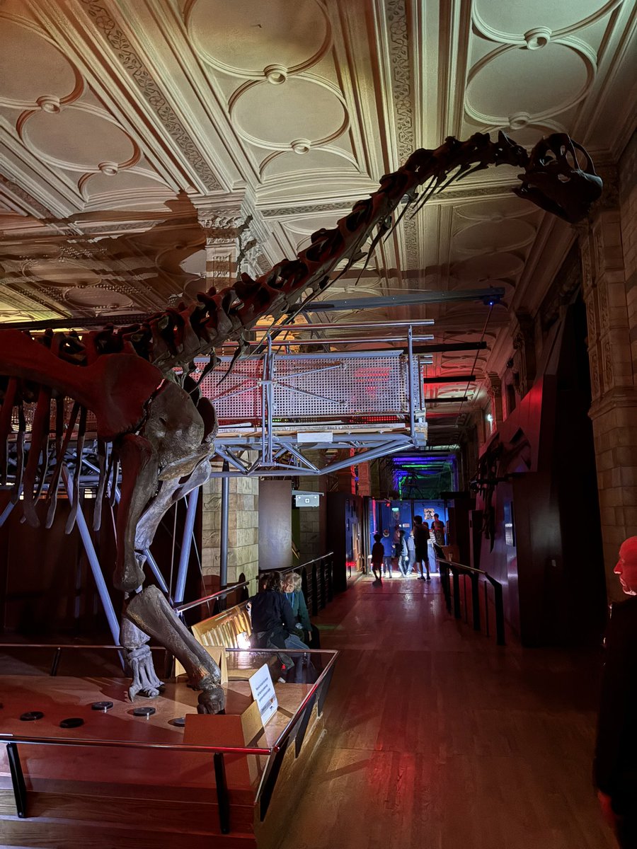 Andrew Powell-Thomas tweet media