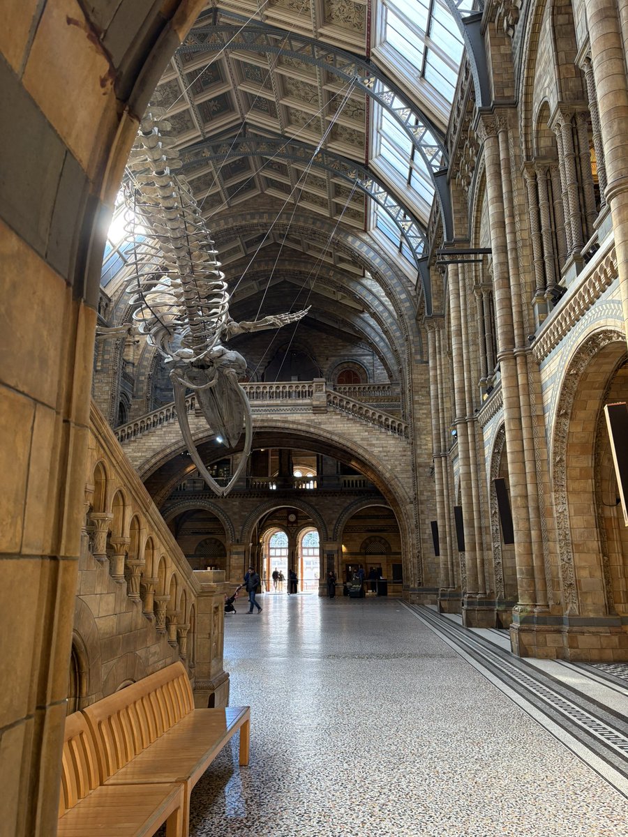 Andrew Powell-Thomas tweet media