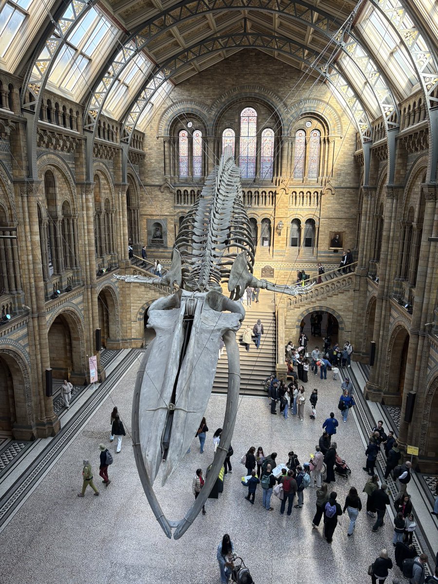 Andrew Powell-Thomas tweet media