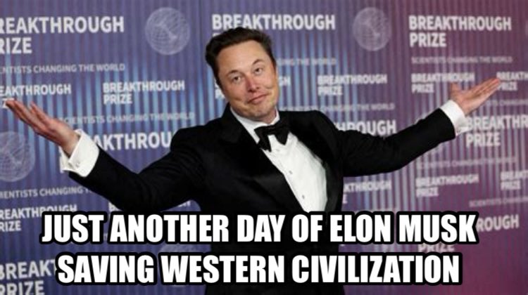 Padeira de Aljubarrota tweet media