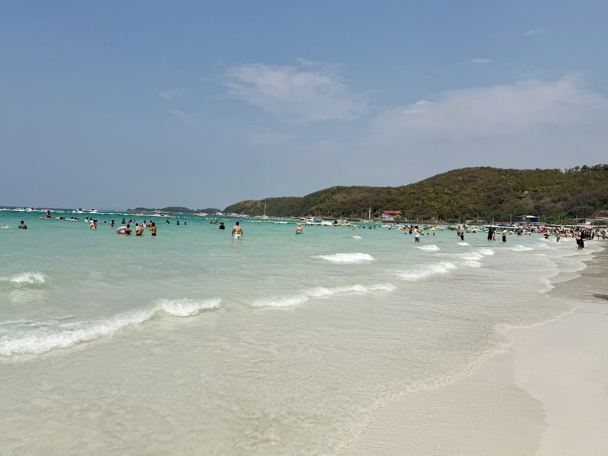 蒼依(ακι)@땡땡이 tweet media