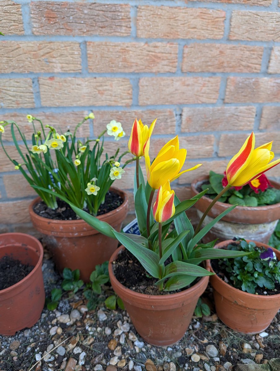 𝔸𝕟𝕕𝕪 𝔾𝕣𝕖𝕖𝕟 tweet media