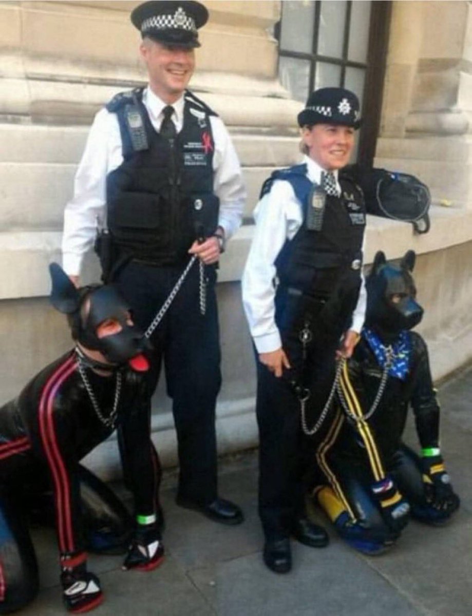 BlessBritain tweet media