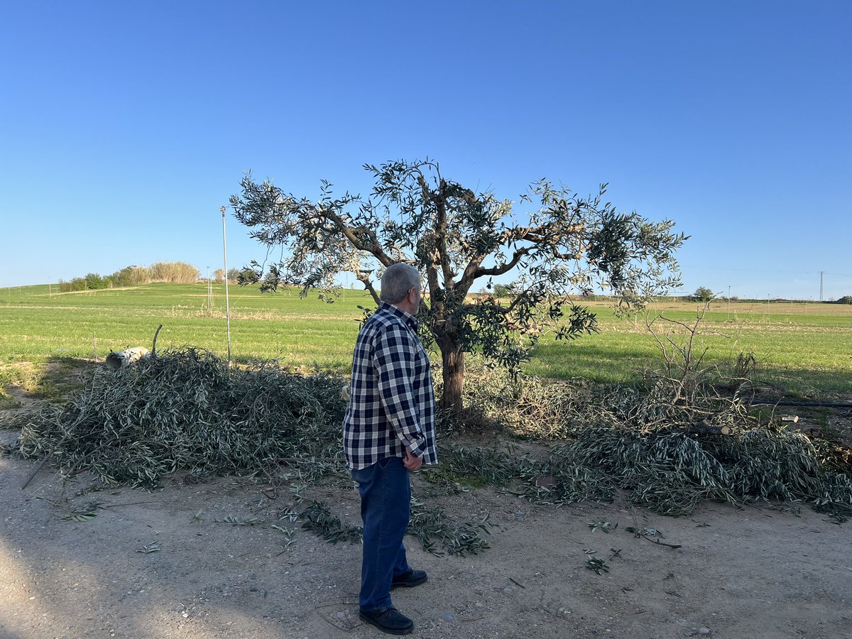 Leolo Camaleone tweet media