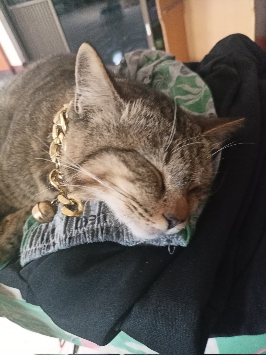 ✞︎𓁹_Neena_ت︎༒︎/ คนไทย 🍉 tweet media