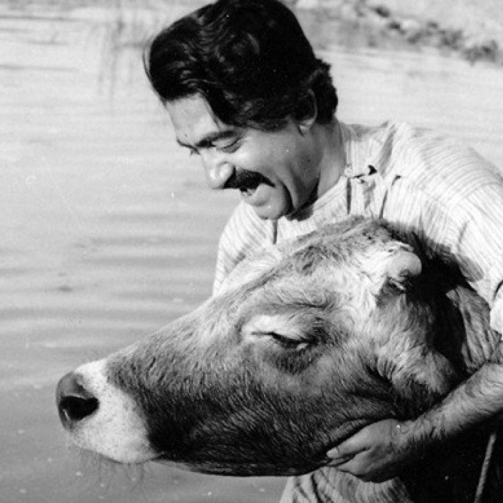 jornalnota's tweet photo. DICA! 🚨 Assisti essa semana aum filme que entrou pro meu top 10 de todos os tempos: A Vaca (1969), dirigido por Dariush Mehrjui, baseado num conto escrito por Gholam-Hossein Saedi! 🍿✊❤️

 A premissa é genial: um homem ama a sua vaca. Ama muito. Leva ela pra passear, toma banho de lago com ela e dorme com ela com medo que alguém tente fazer alguma coisa, roubar, matar...

Ama tanto que todo mundo no vilarejo conhece ele como “aquele que ama a vaca”. O amor dele pela vaca, porém, é útil: é a única vaca do vilarejo. Ela dá leite e está grávida. 

Um dia, no entanto, ele sai para trabalhar e a vaca morre. E agora… como todos vão contar para ele que a vaca morreu? 

Uma verdadeira obra-prima iraniana, radical, que pensa o cinema com humor, com técnica, com agilidade, mas também com poesia, cuidado e afeto. Como é grande a dor de perder um amor, não? 

Um filme feito em 1969 que parece ter sido feito ontem e ao mesmo tempo parece de tão antigo. Atemporal, antigo, novo e do futuro.

 Conheça e veja! Entrou pro hall dos meus preferidos da vida! 🇮🇷❤️🍿