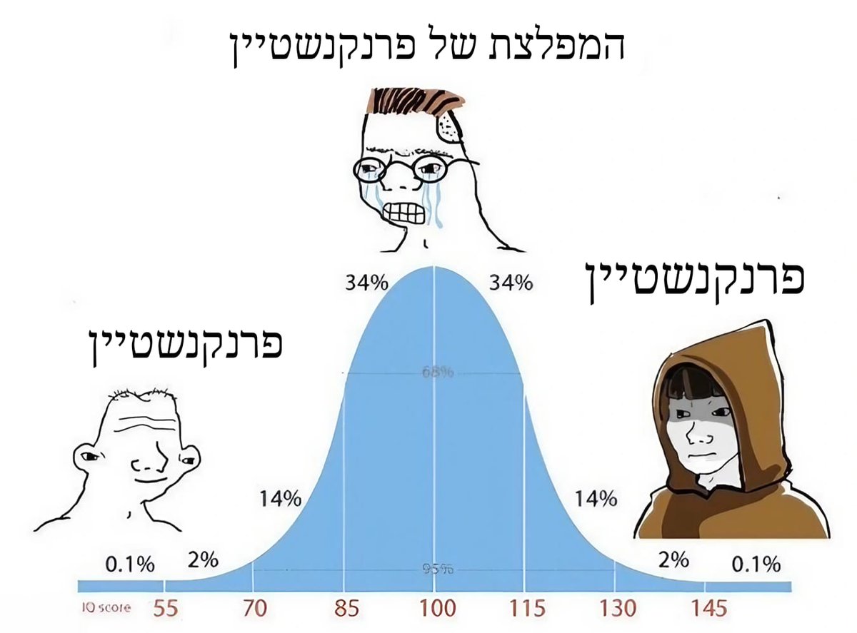 יאיר וולר🦤🫪 tweet media