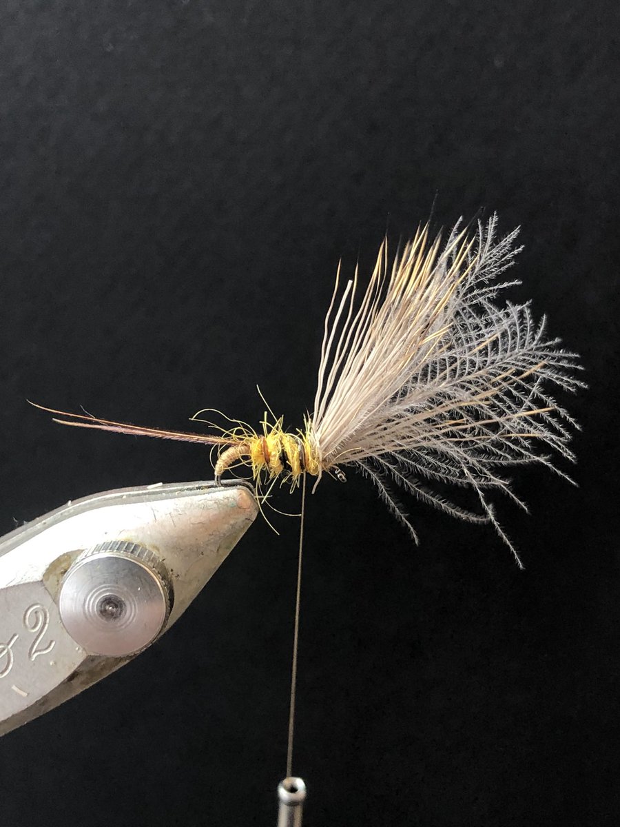 Nigel Nunn tweet media