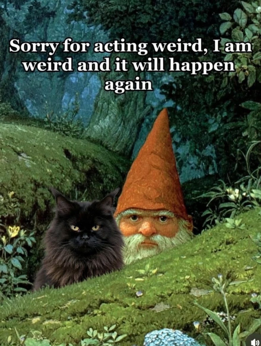 LAnDo NIFFIRG™️🇨🇦 tweet media