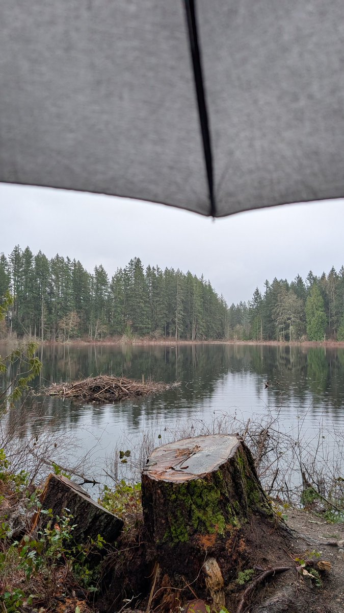 The Questing Geek tweet media