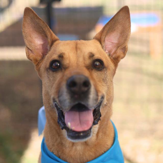 Aurora ⸆⸉ misses Liam ❯❯❯❯ tweet media