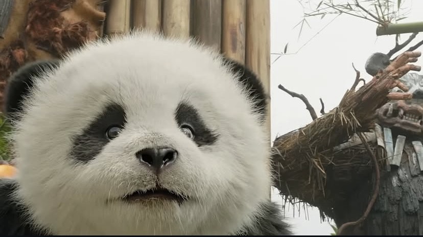 Circle Entertainment Updates tweet media