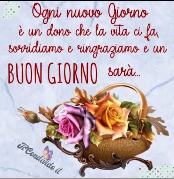 Annamaria tweet media