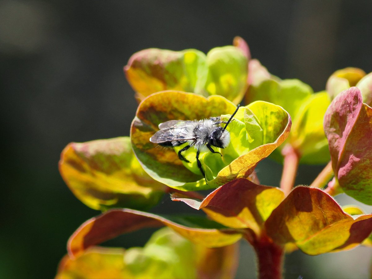 Deena Sharp tweet media