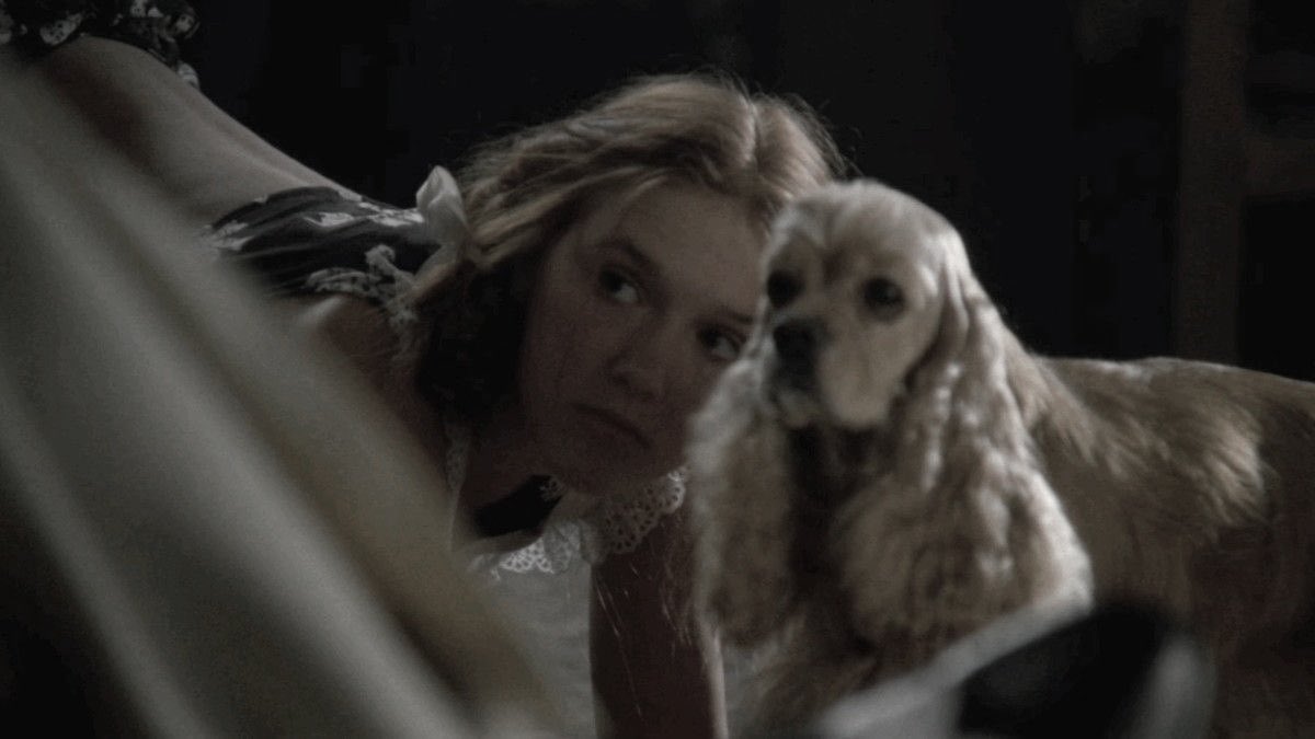 psykittx ִֶָ:!🪽་ tweet media