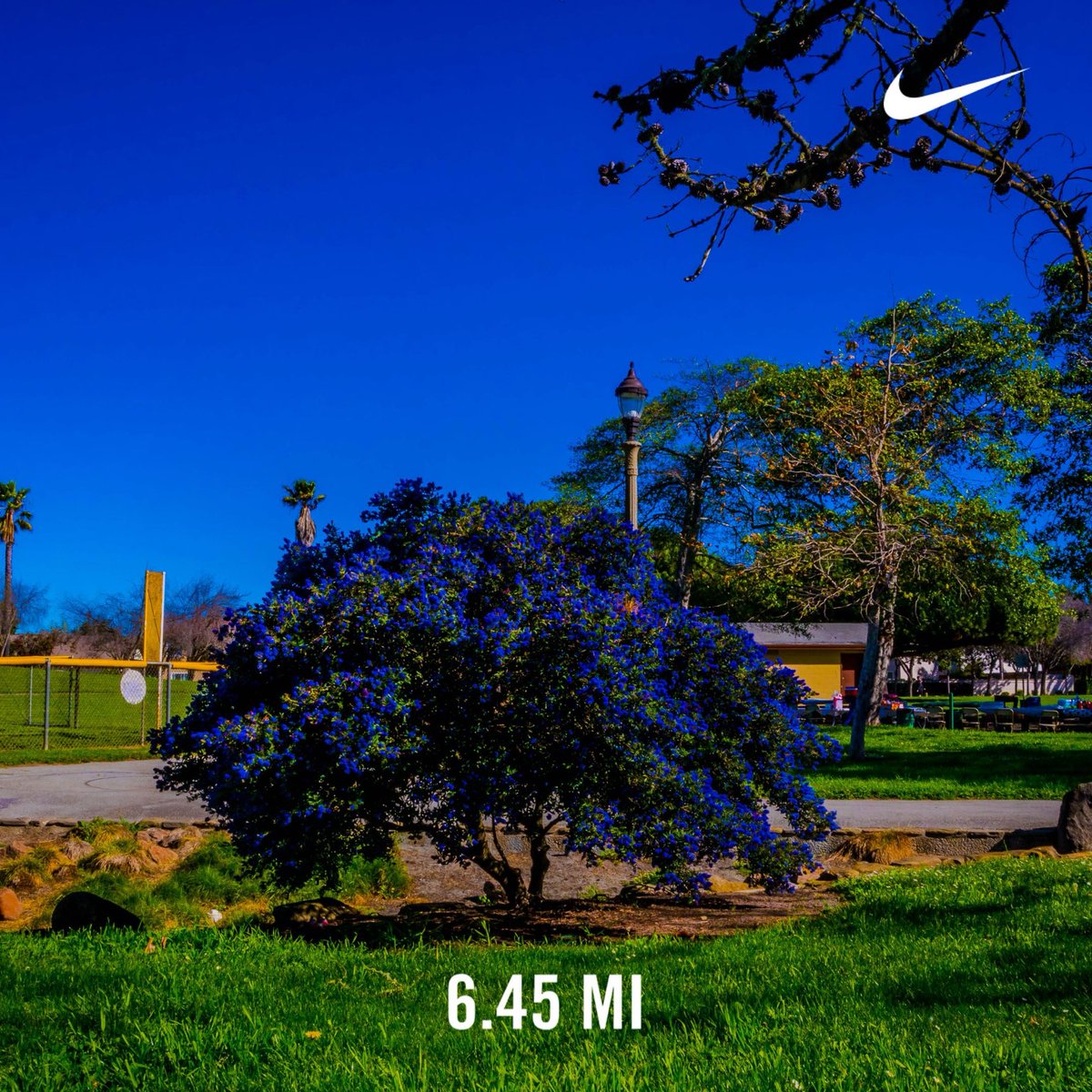 bigperm1974's tweet image. #nikerunclub #nikefuel #nrc #salinasrunclub @stigma.wellness   @rhc.monterey