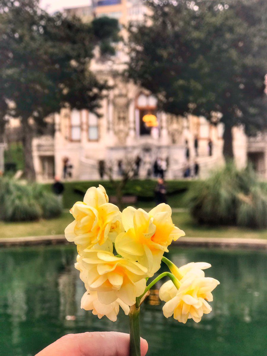 DogayaAdimAt's tweet photo. Pembelendik 🌸 https://t.co/2bjhAG2hzA