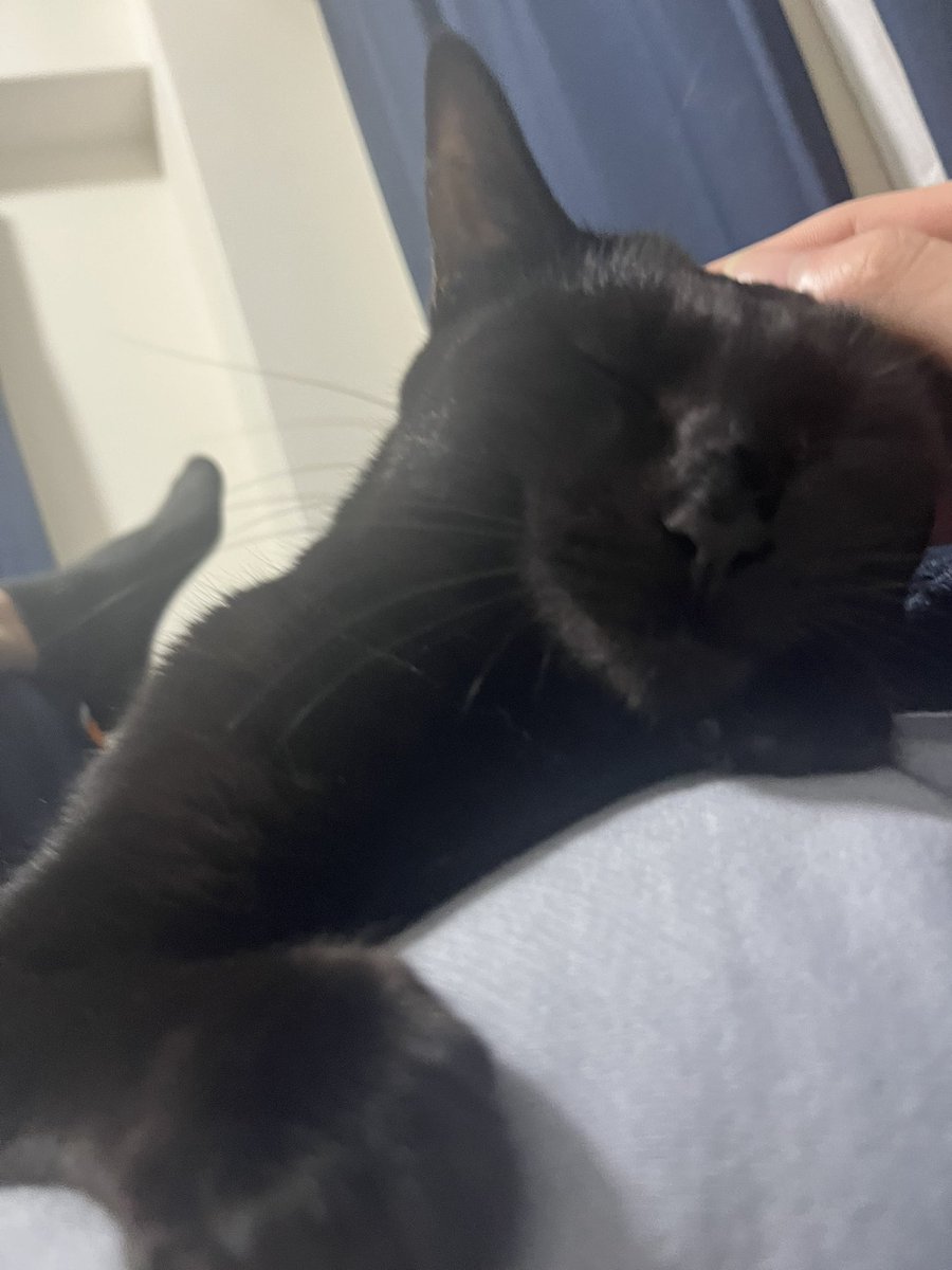 Uk-P.U.N.K Ground☃ tweet media