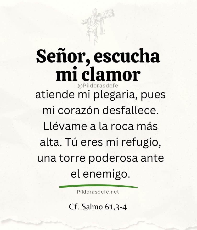 Mario Isao (@marioisao) on Twitter photo 