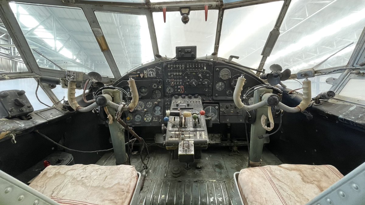 Alejandro De Prado tweet media