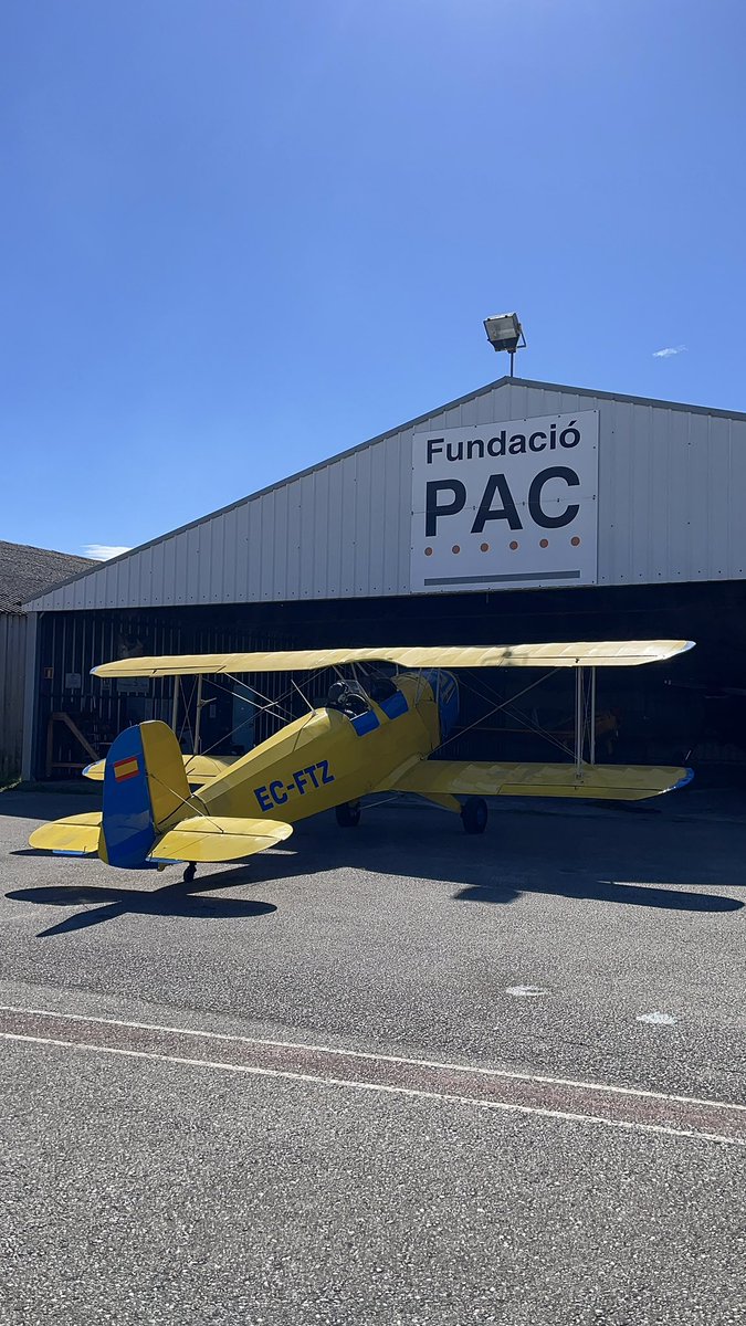 Alejandro De Prado tweet media