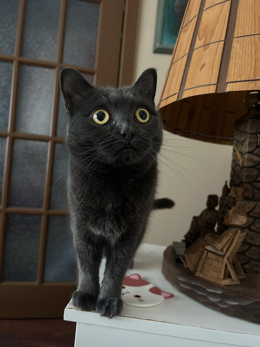 rob 🍉 tweet media