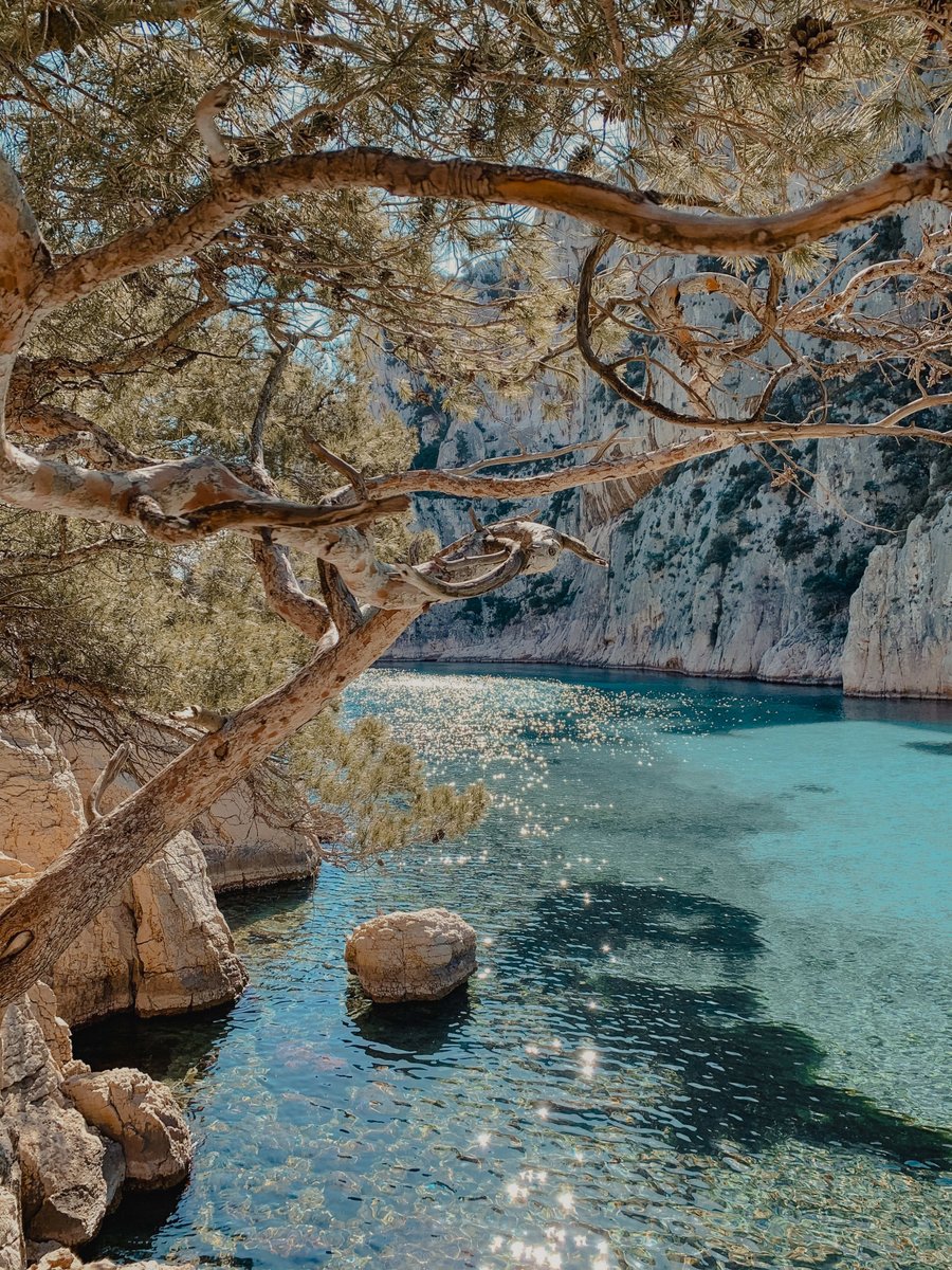 Get That Cruise UK tweet media