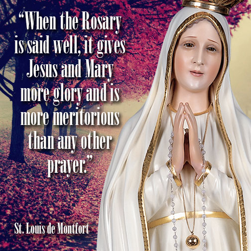 America Needs Fatima tweet media