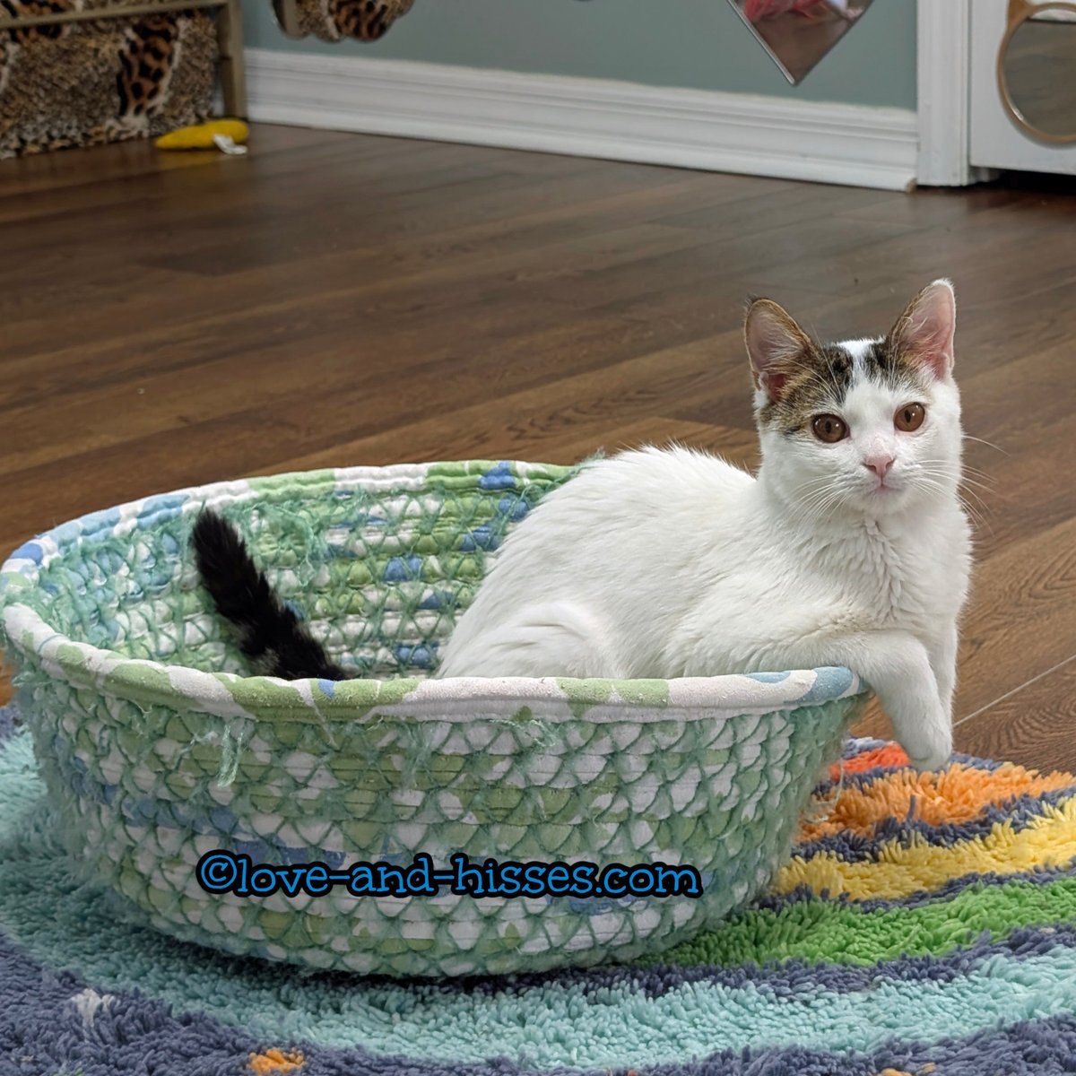 Robyn Anderson tweet media