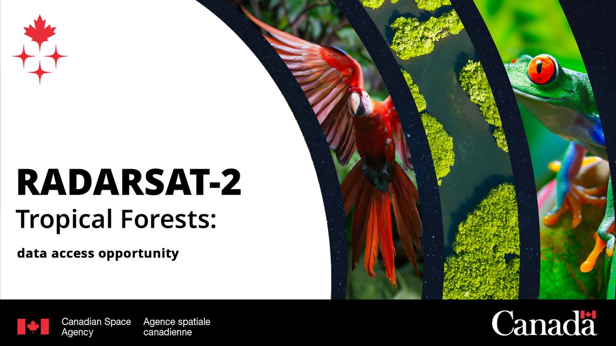 Canadian Space Agency tweet media