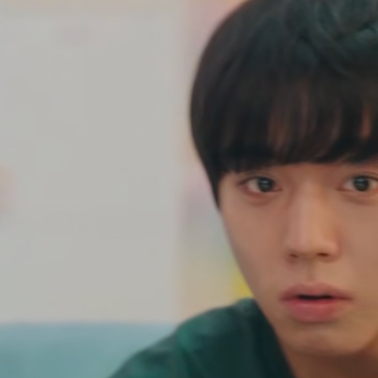 honk shoo honk shoo tweet media