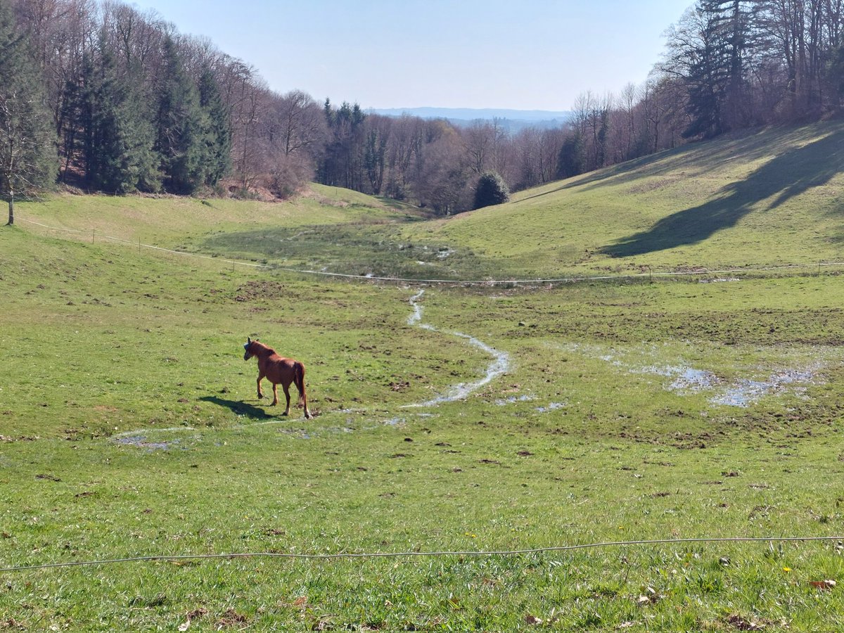Dans les monts d'Ambazac