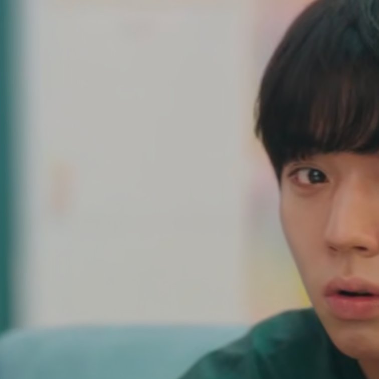 honk shoo honk shoo tweet media